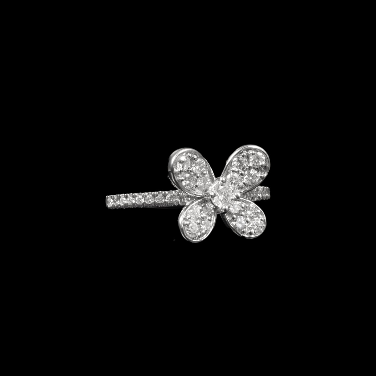 Aurora Wings Ring